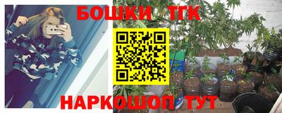 прущий лед Новозыбков