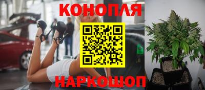mix Новокубанск
