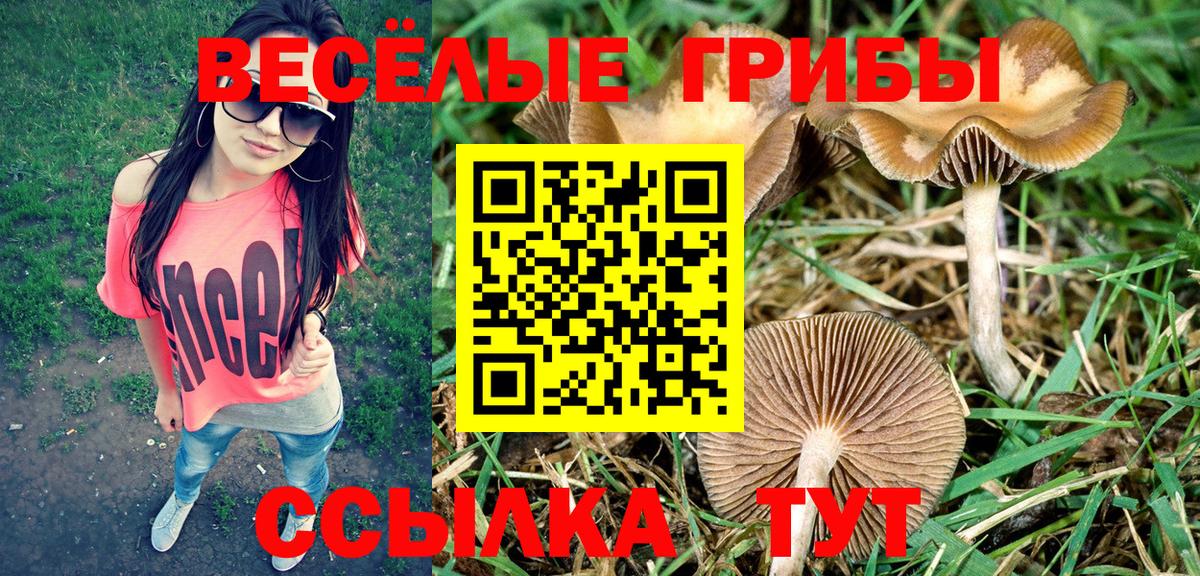 Псилоцибиновые грибы GOLDEN TEACHER  Вход с VPN  где продают наркотики  Топки 
