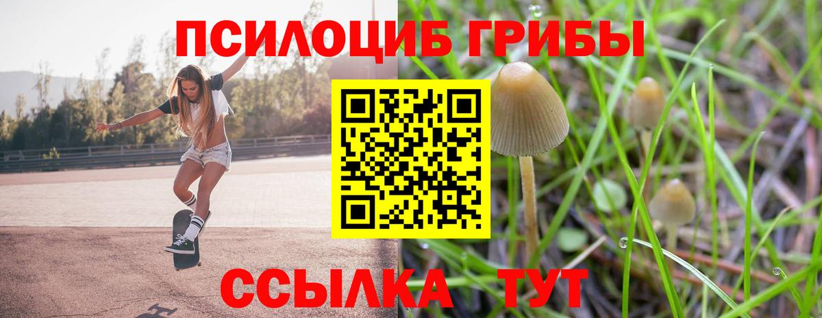 Псилоцибиновые грибы Psilocybine cubensis Топки